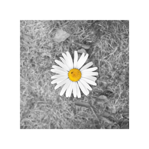 斗转星移周涛合成夜色邦
