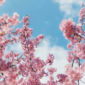 斗转星移周涛合成夜色邦
