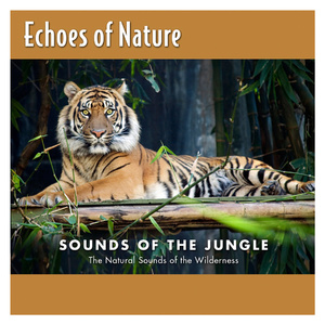 斗转星移周涛合成夜色邦
